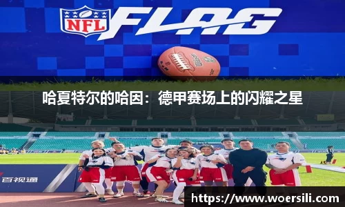 哈夏特尔的哈因：德甲赛场上的闪耀之星
