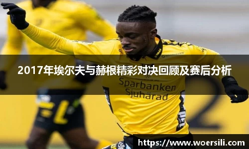 2017年埃尔夫与赫根精彩对决回顾及赛后分析