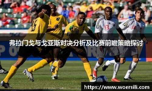 弗拉门戈与戈亚斯对决分析及比赛前瞻策略探讨